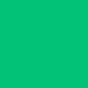 Im So Irish My Liver Hurts Design